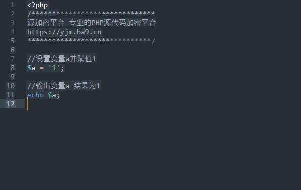 加密前代码示例